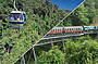 Skyrail and Kuranda Scenic Train