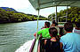 Cape Tribulation & Daintree Deluxe Day Tour