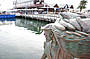 Fremantle Fishing Boat Harbour.