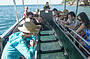 Fitzroy Island Glass Bottom Boat